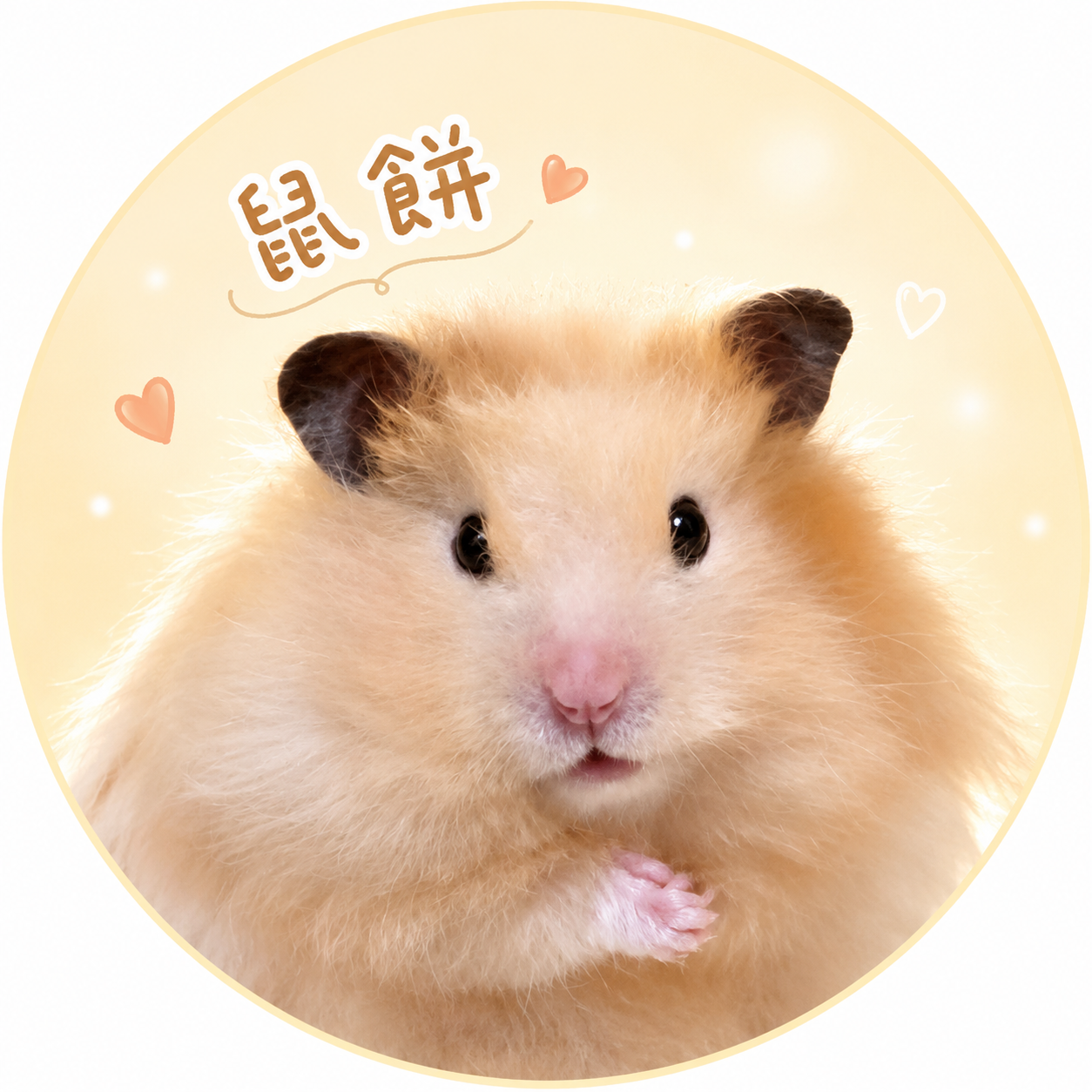 鼠餅的圓形頭貼